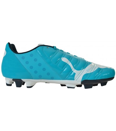 BUTY PUMA EVO POWER 4 FG /102953 04