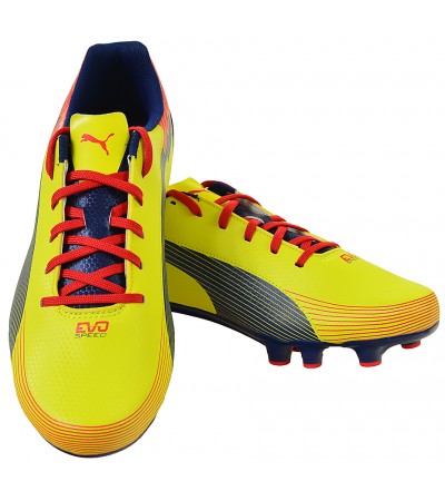 BUTY PUMA  EVO SPEED 5 GRAPHIC FG /102772 01