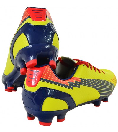 BUTY PUMA  EVO SPEED 5 GRAPHIC FG /102772 01