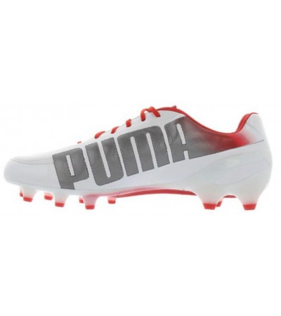 Buty piłkarskie Puma Evo Speed 1.2 FG 102859 03