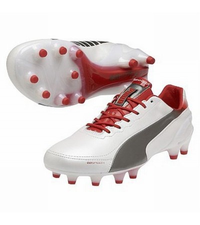 Buty piłkarskie Puma Evo Speed 1.2 FG 102859 03