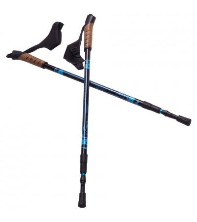 Kijki Nordic Walking Scout Bjorn niebieskie 3cz