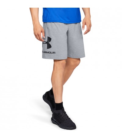 Spodenki męskie Under Armour Sportstyle Cotton Logo szare 1329300 035