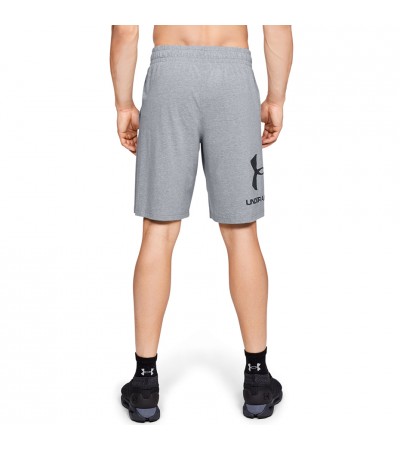 Spodenki męskie Under Armour Sportstyle Cotton Logo szare 1329300 035