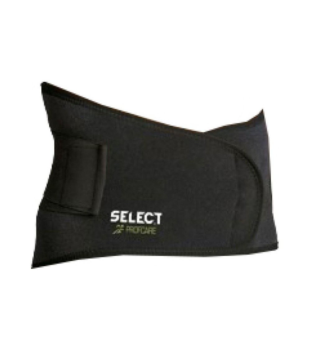 Lumbar support with Select 6411 brace