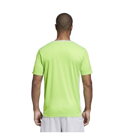 Adidas Entrada 18 CE9758 football jersey