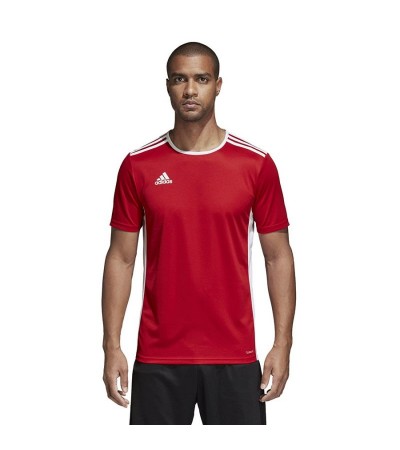 Adidas Entrada 18 CF1038 football jersey