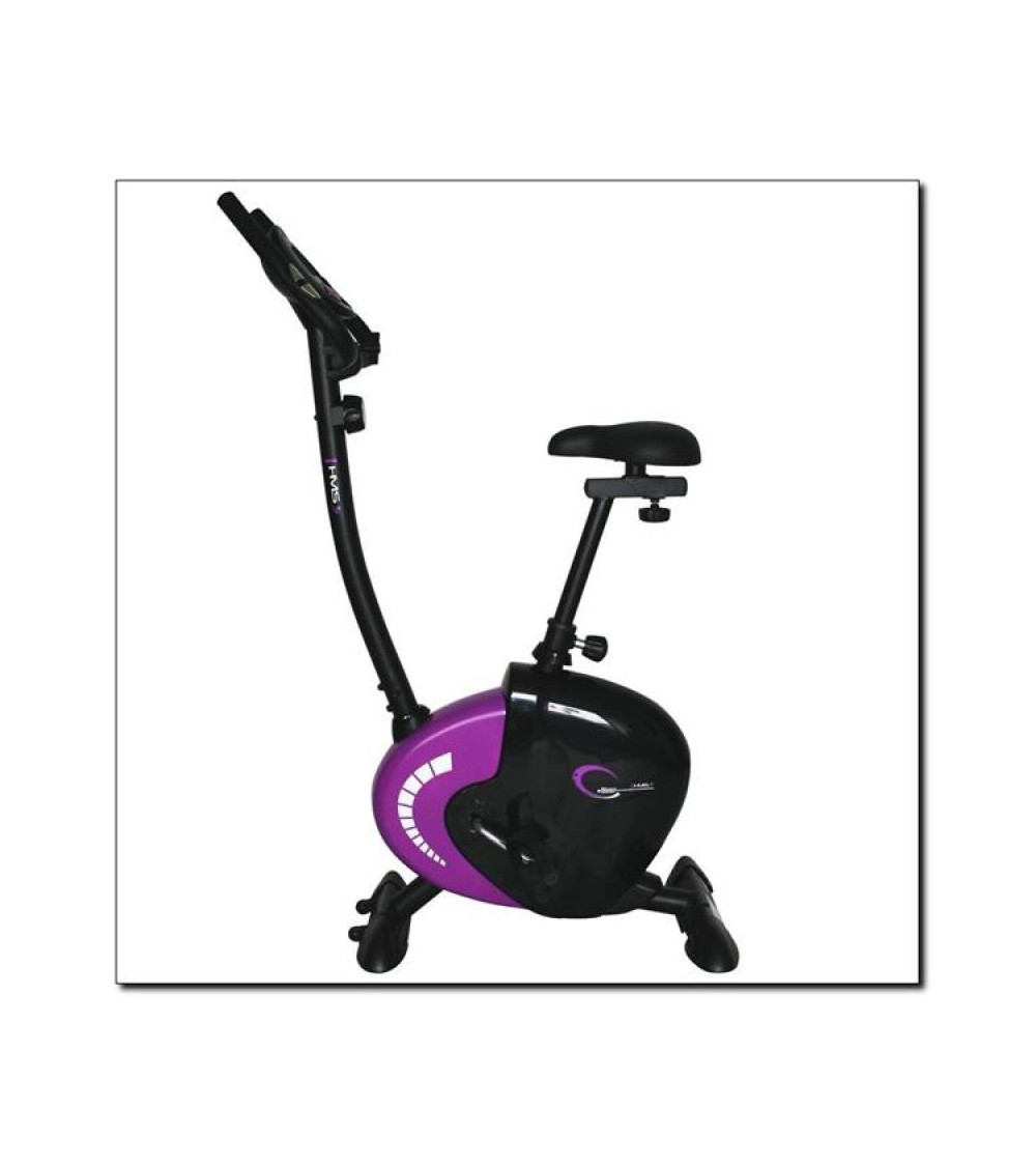 Magnetic bike purple HMS M9239V