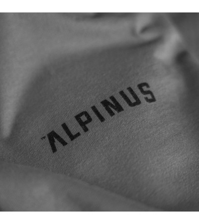 T-shirt Alpinus Breheimen M SI18006